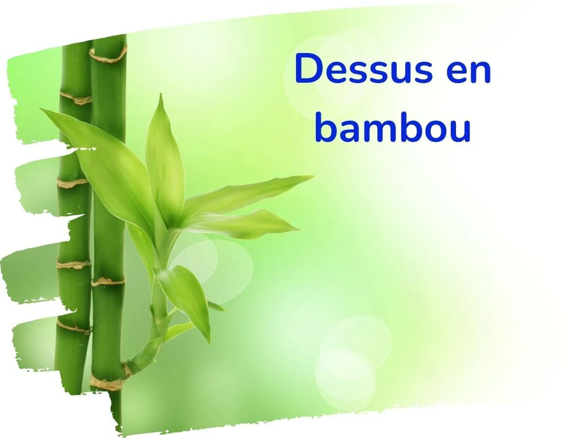 Housse Anti-Acariens Simple - Image 4