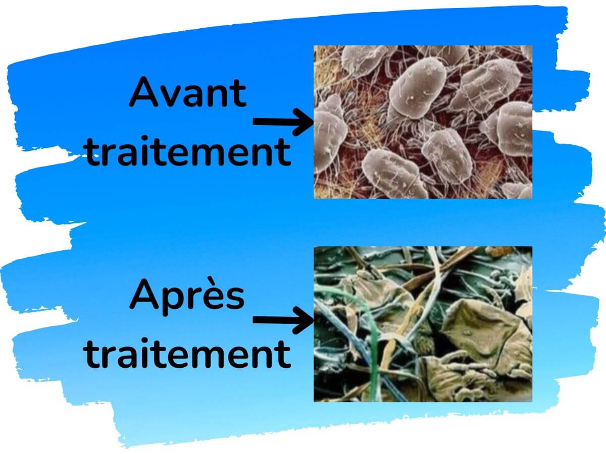 Détergent anti-acariens Protech Allergies - Image 3